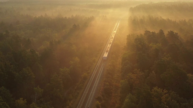 火车在黎明时穿过森林，阳光照亮了森林上的雾视频下载