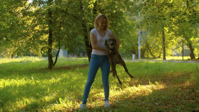 年轻的女训导员在训练一只狗视频素材