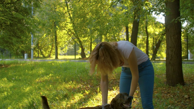 漂亮的女孩指导手训练一只狗视频素材