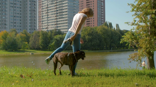 年轻的狗训练师和一只狗在公园里视频下载