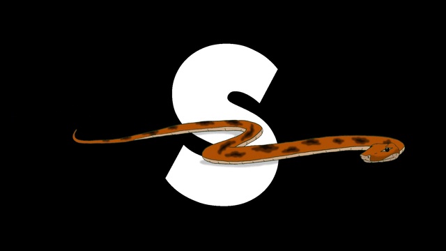 字母S和蛇在前景视频下载