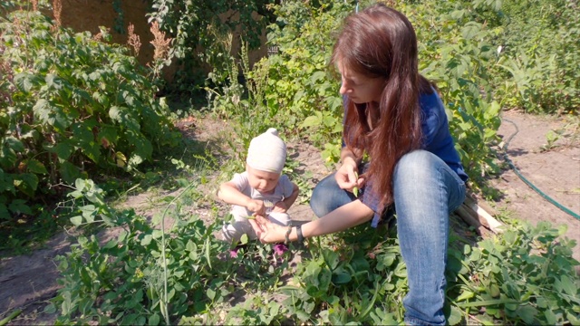 小女孩在花园里收集并食用有机豆子视频下载