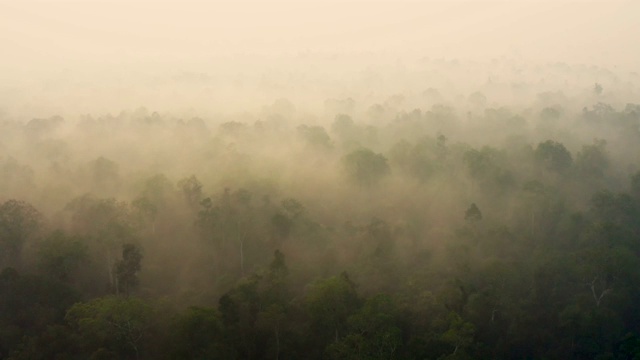 在婆罗洲加里曼丹日出与浓烟覆盖雨林视频素材