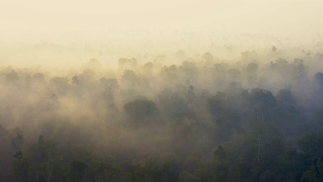 在婆罗洲加里曼丹日出与浓烟覆盖雨林视频下载