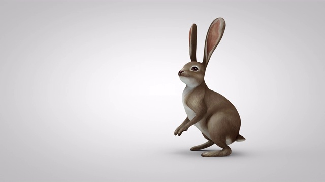 卡通兔子跑到屏幕中间，站起来环顾四周，跑开了视频下载