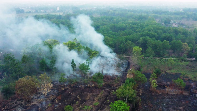 印度尼西亚婆罗洲加里曼丹岛森林大火视频素材