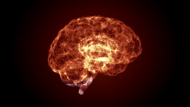 人类的大脑扫描视频素材