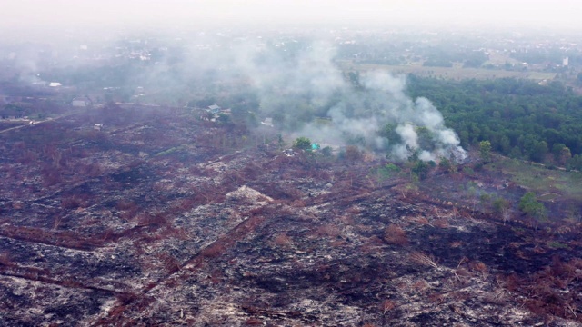 印度尼西亚婆罗洲加里曼丹岛森林大火视频素材