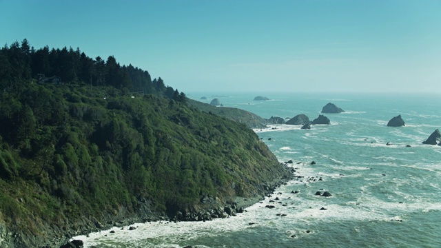 太平洋悬崖上的红杉森林鸟瞰图视频素材