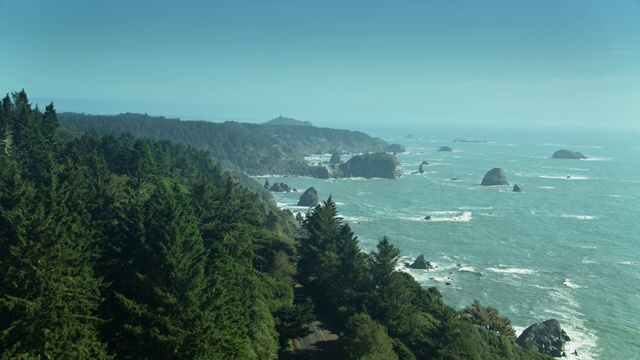 红杉树和太平洋在Del Norte县，加利福尼亚州视频下载