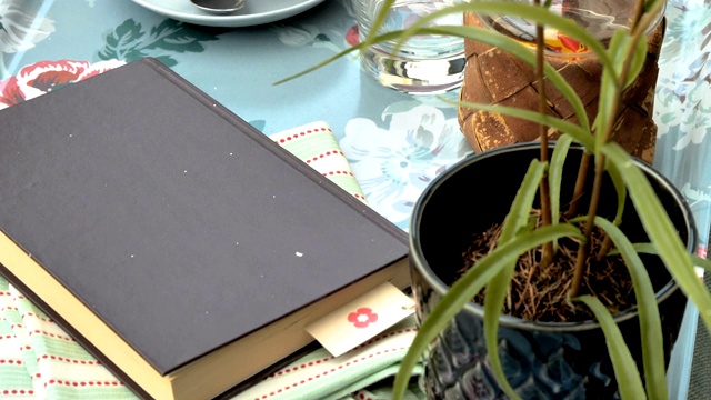 桌子中间的绿色植物视频素材