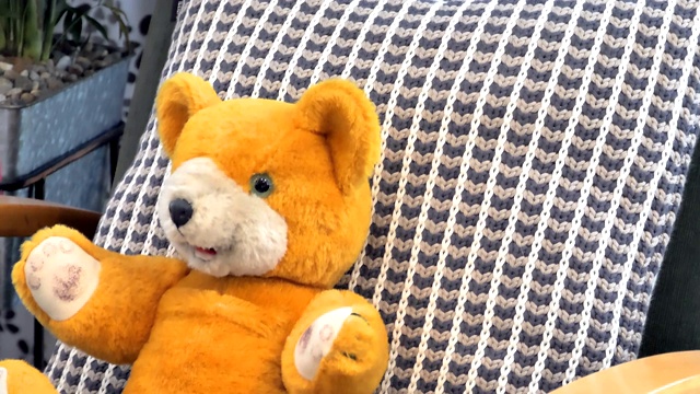 棕色的泰迪熊坐在椅子上视频下载