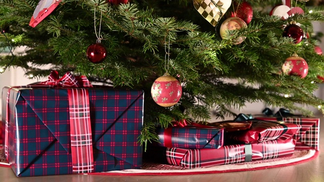 圣诞礼物放在树下视频下载