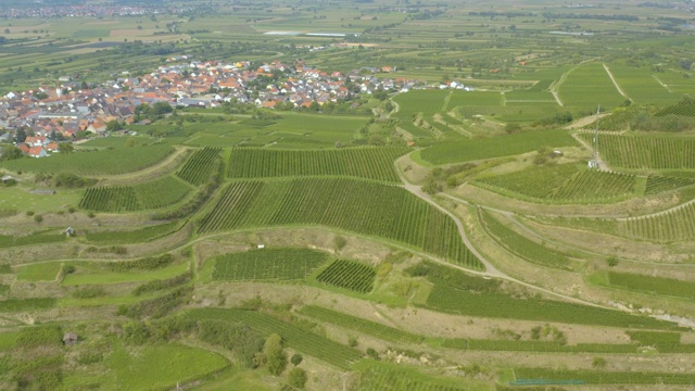 德国Kaiserstuhl的Kiechlinsbergen村附近的葡萄园和房屋的鸟瞰图视频下载