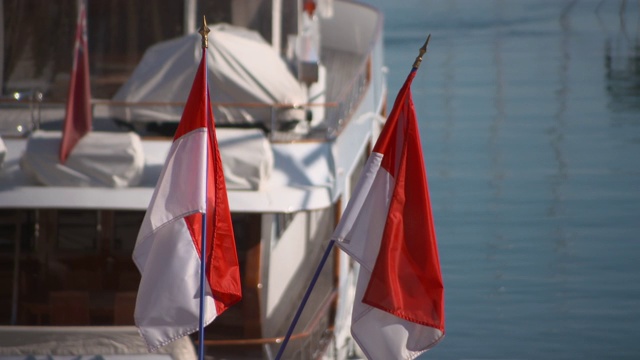 在阳光明媚的日子里，一艘豪华游艇停泊在大力神港的海面上，船上挂着摩纳哥国旗视频下载