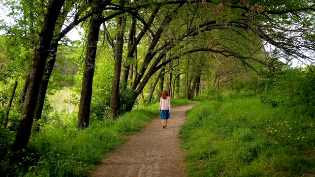 一个女孩独自走在树下的森林小径上视频素材
