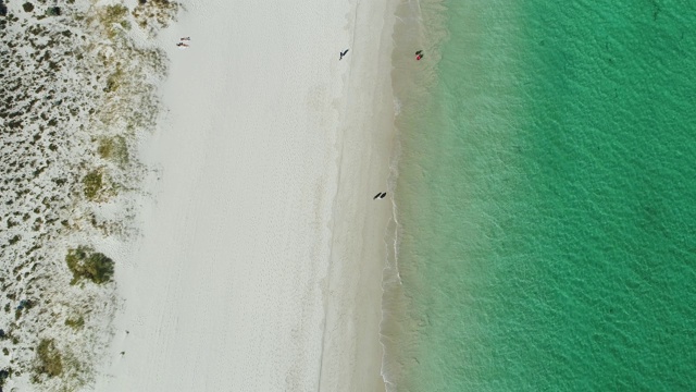 鸟瞰图的沙滩和完美的绿松石色的水视频素材