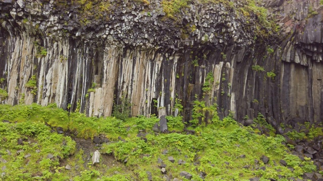 Svartifoss瀑布、冰岛视频素材