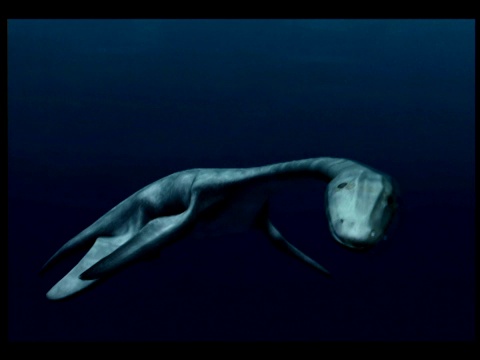 一头woolungaaurus优雅地在水下游泳。视频素材
