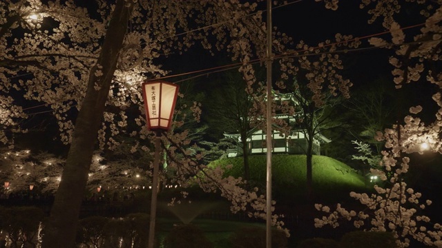 低角度，夜光寺在多田公园视频素材