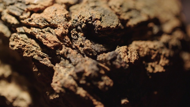澳大利亚沃尔夫溪陨石坑的陨石视频下载