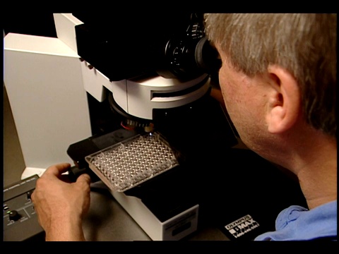 研究人员在显微镜下检查一个样本。视频素材