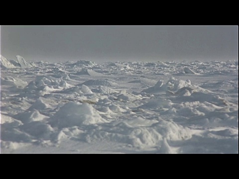 冰雪覆盖着北极苔原。视频素材