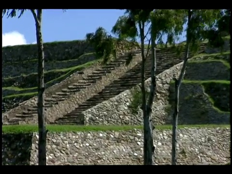 细长的树木环绕着墨西哥玛雅废墟的台阶和金字塔。视频素材