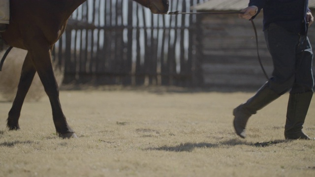 一个男人牵着一匹马的中景视频素材