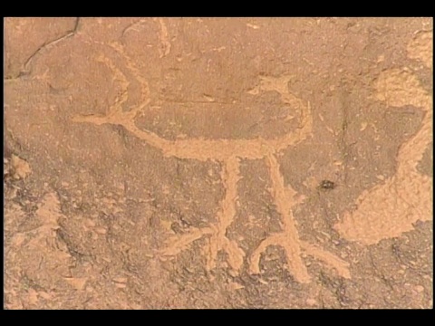 岩画描绘的动物。视频素材