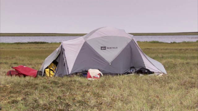 草原环绕着帐篷和小型露营地。视频下载
