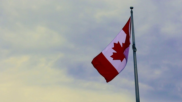 阴天的加拿大国旗视频素材