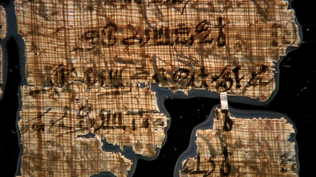 层压板保护古埃及纸莎草。视频下载