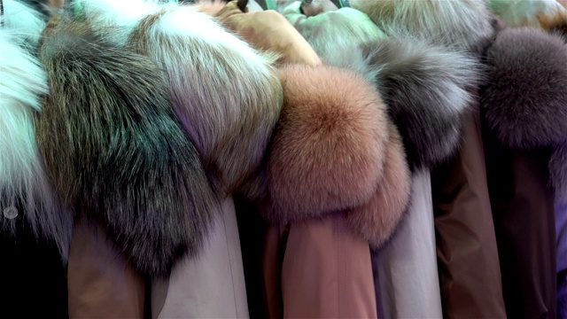 4K毛皮大衣从天然毛皮挂视频下载