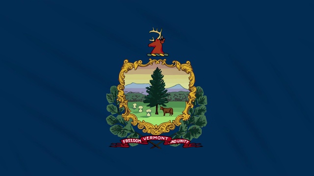 佛蒙特州的国旗在风中飘扬，以循环为背景视频素材