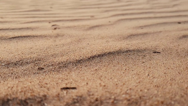 海滩上的沙子在强风中视频素材