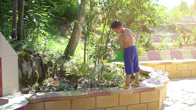 可爱的男孩用花园喷壶给植物浇水视频素材
