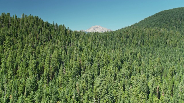 距离拉森峰的北加州森林视频素材