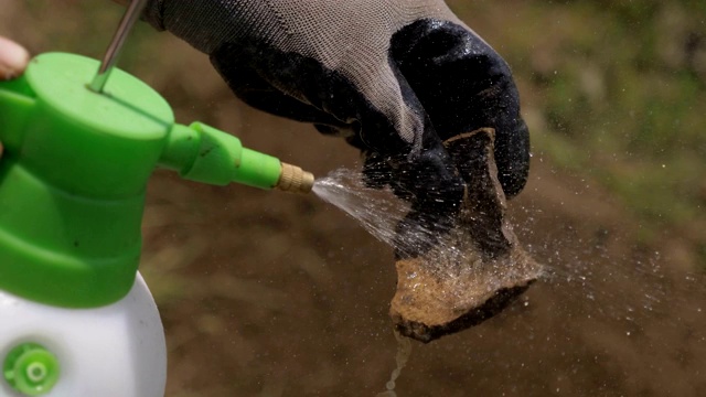 考古学家用水冲洗考古发现。考古发现,历史视频素材