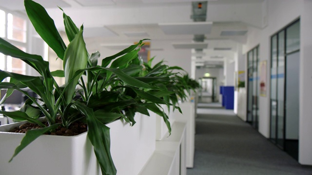 带植物的现代商务办公空间视频素材