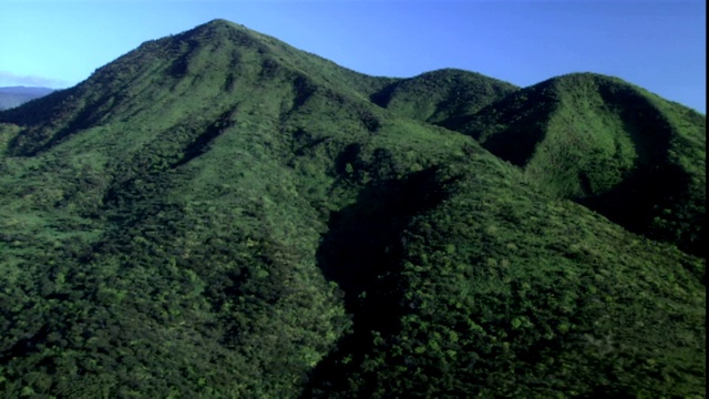 郁郁葱葱的森林覆盖着夏威夷的群山。视频下载