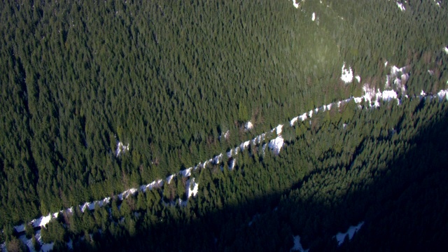 在森林覆盖的山坡上，积雪覆盖着雪崩的栅栏。视频下载