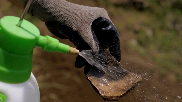 考古学家用水冲洗考古发现。考古发掘视频素材