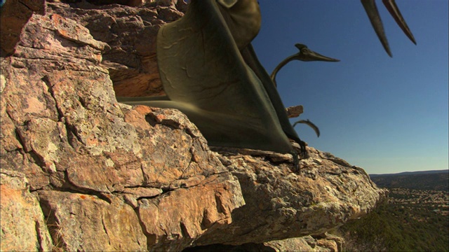 一只风神翼龙停在一块岩石上视频下载