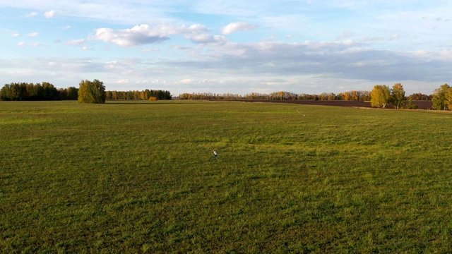 那男孩带着风筝在绿色的田野上奔跑。欢声笑语，喜庆心情。秋天视频下载