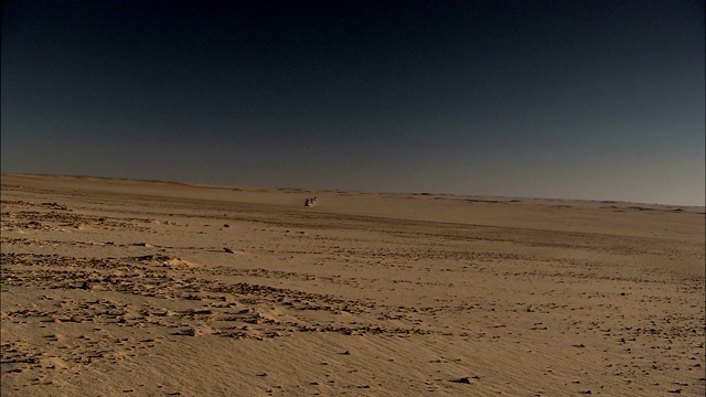 一辆SUV大篷车驶过撒哈拉沙漠的一片荒芜地带。视频下载