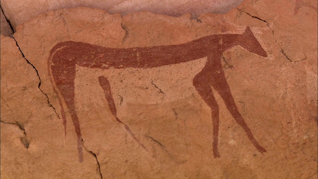 洞穴艺术描绘了一头牛。视频素材