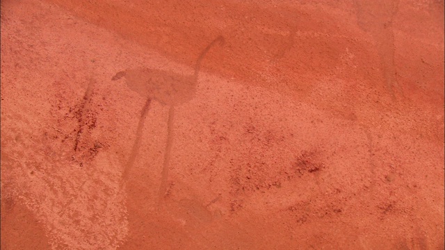 沙漠中的一面岩壁上画着一只涉水的鸟。视频素材