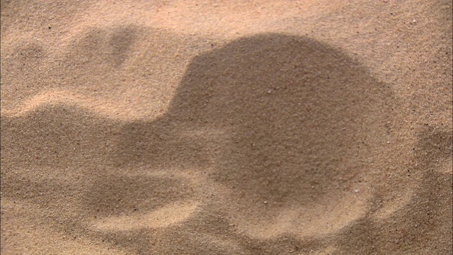 两只手从沙中举起一块绿色的石头。视频下载