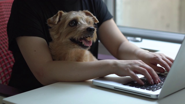 和狗一起玩电脑的女人视频下载